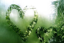 -柏林赫塔关键一战，主教练透露备战计划