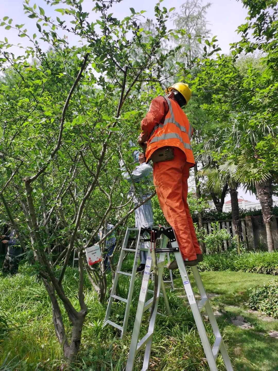 包含板块报道突发性质标题，题材充分展示运动项目特点的词条